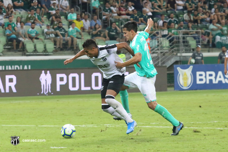 [02-11-2019] Palmeiras x Ceará - 10