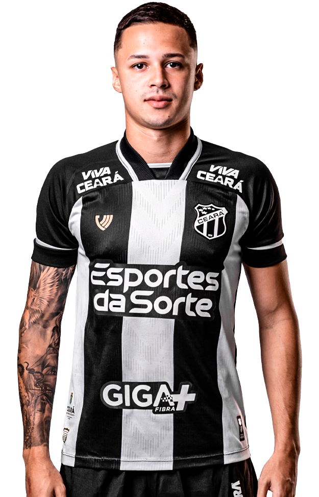 Matheus de Araújo Andrade