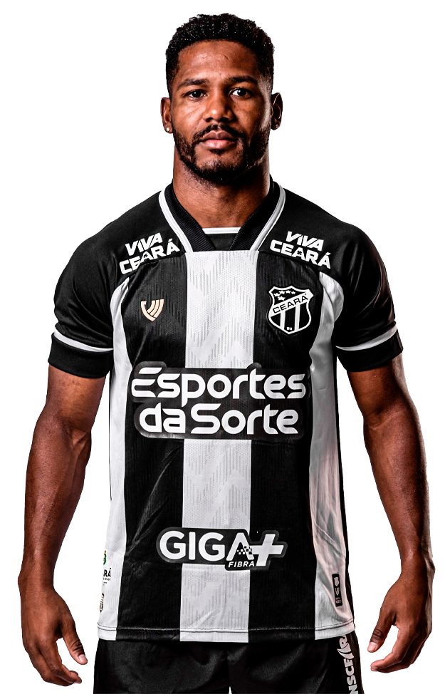 Fabiano Josué de Souza Silva