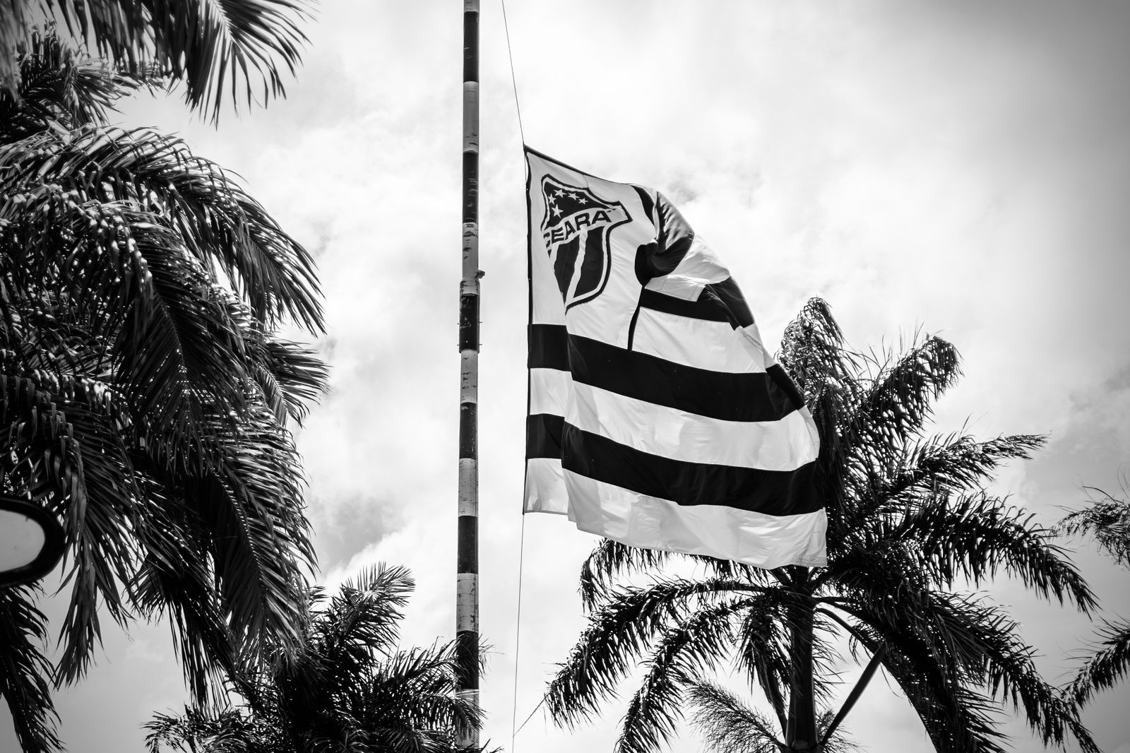 Presidente João Paulo Silva lamenta morte de Dimas: “Merece todas as nossas homenagens”