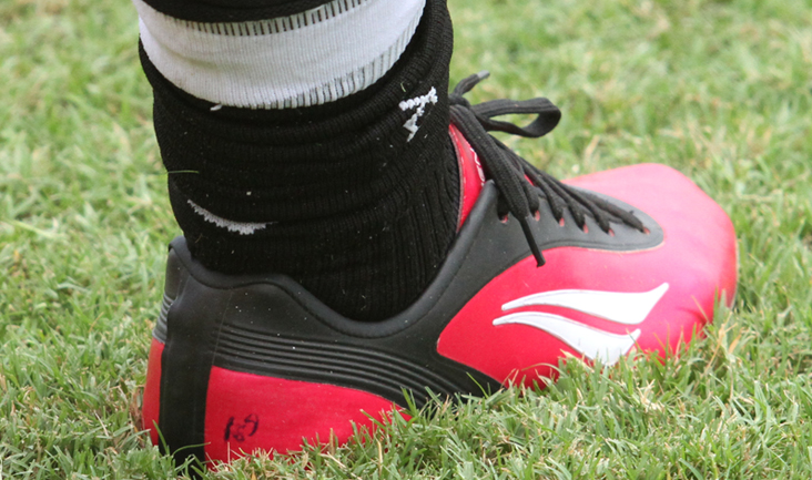 Alvinegros voltarão aos trabalhos nesta segunda-feira