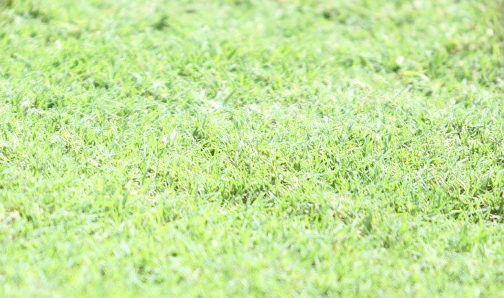 Confira a programação desta quinta-feira para todo o elenco