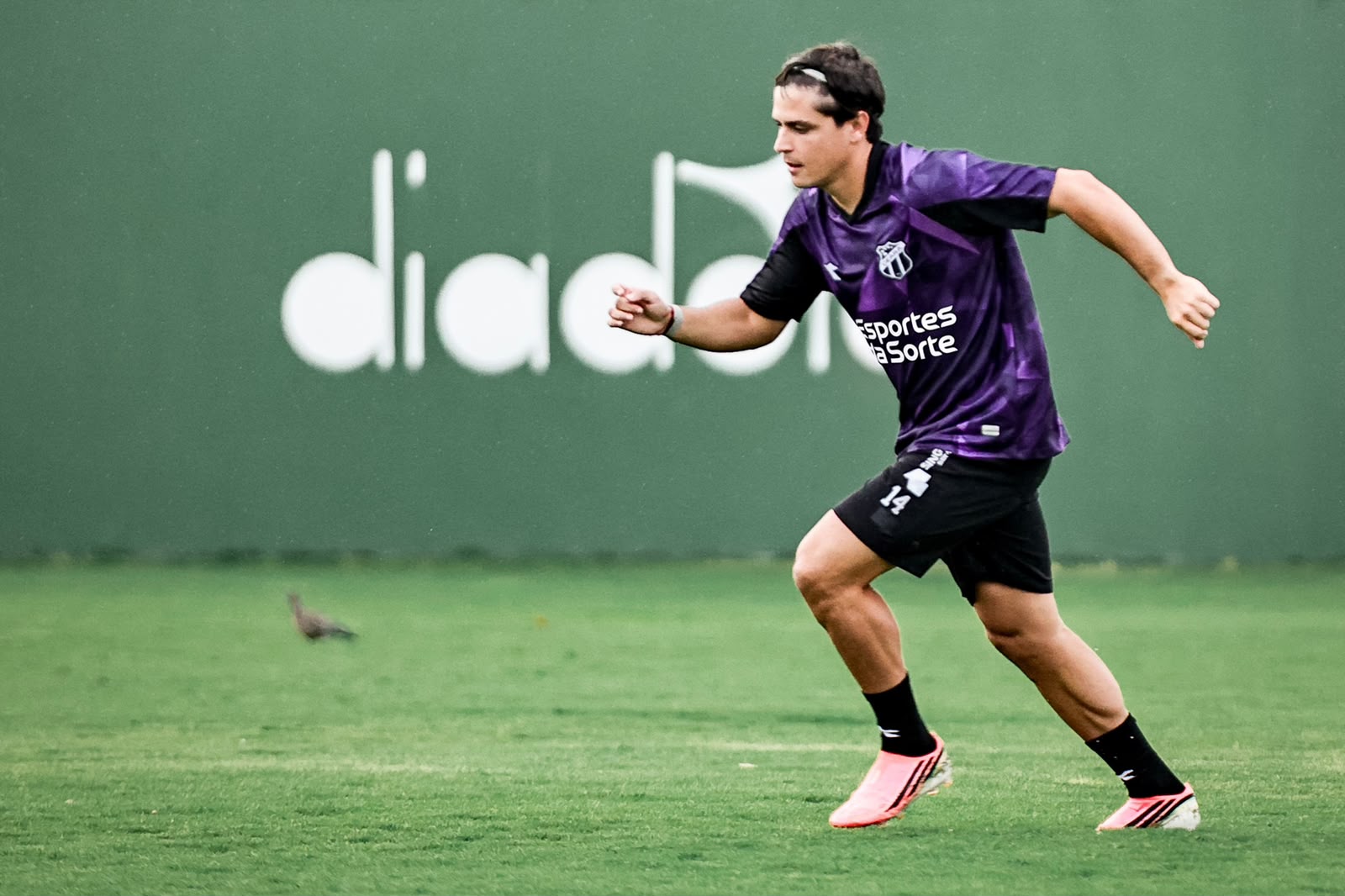 No CT do Goiás, Ceará fecha os trabalhos para o confronto com o Atlético/GO