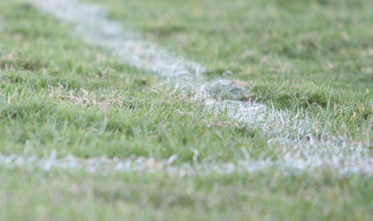 Vozão encerrará a preparação para o jogo contra o Vitória hoje